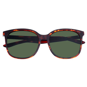 Bertha Avery Polarized Sunglasses - Tortoise/Forest Green - BRSBR050C2
